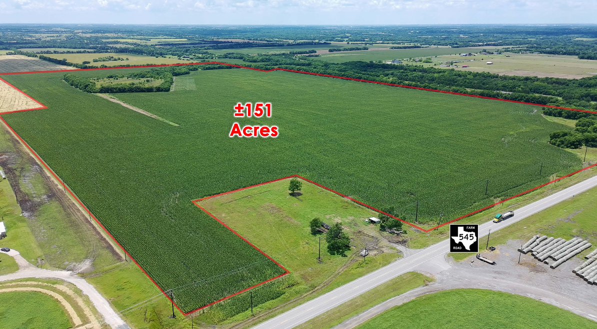 151 AC | South side of FM-545 — 8455 County Road 832, Blue Ridge, TX, 75424 photo 3