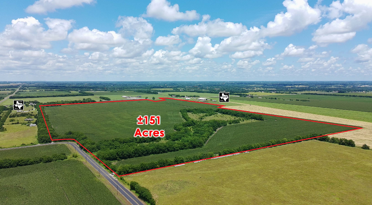 151 AC | South side of FM-545 — 8455 County Road 832, Blue Ridge, TX, 75424 photo 2